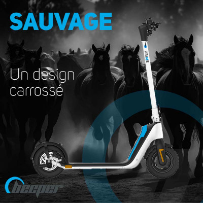 Trottinette Électrique...